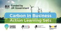 Carbon in Business Action Learning Sets - Return on Investment