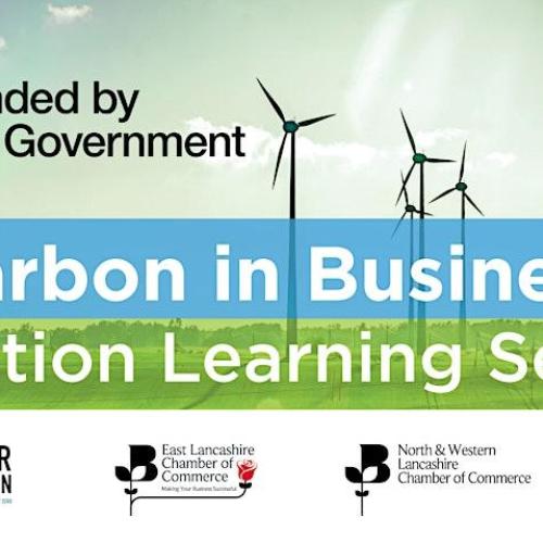 Carbon in Business Action Learning Sets - Carbon Action Plan