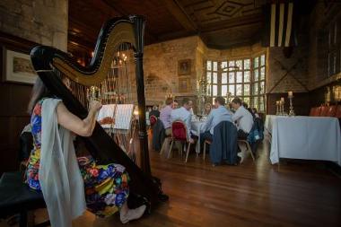 Woman playing harp at corporate event